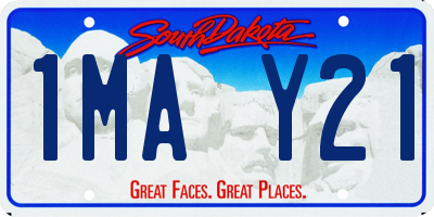SD license plate 1MAY21