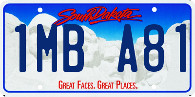 SD license plate 1MBA81