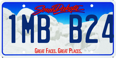 SD license plate 1MBB24