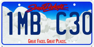 SD license plate 1MBC30