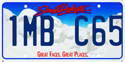 SD license plate 1MBC65