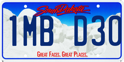 SD license plate 1MBD30