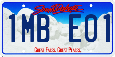 SD license plate 1MBE01