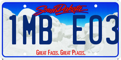 SD license plate 1MBE03