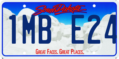 SD license plate 1MBE24