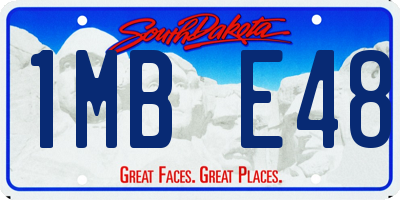 SD license plate 1MBE48