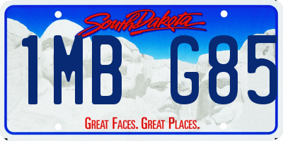 SD license plate 1MBG85