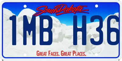 SD license plate 1MBH36
