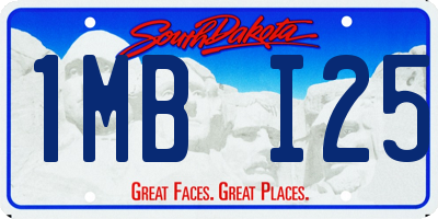 SD license plate 1MBI25