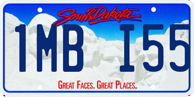SD license plate 1MBI55