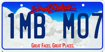 SD license plate 1MBM07