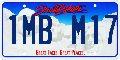 SD license plate 1MBM17