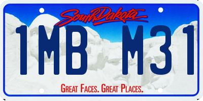 SD license plate 1MBM31