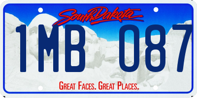 SD license plate 1MBO87