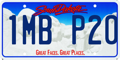 SD license plate 1MBP20