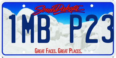 SD license plate 1MBP23