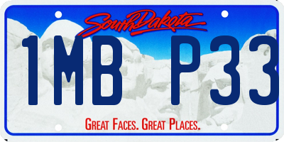 SD license plate 1MBP33