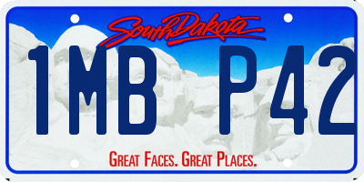 SD license plate 1MBP42