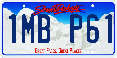 SD license plate 1MBP61