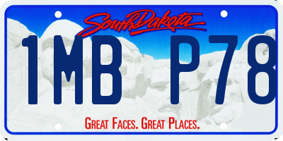 SD license plate 1MBP78