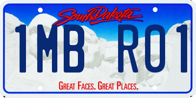 SD license plate 1MBR01