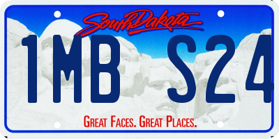 SD license plate 1MBS24
