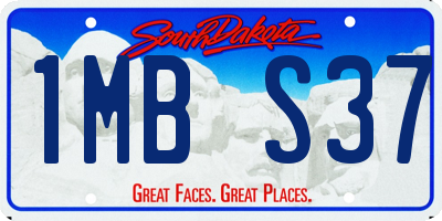 SD license plate 1MBS37