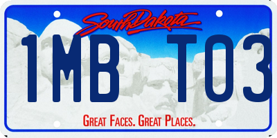 SD license plate 1MBT03