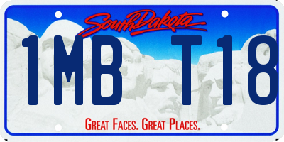 SD license plate 1MBT18