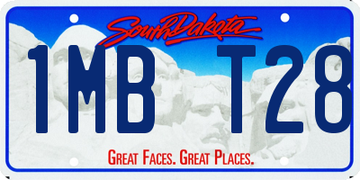 SD license plate 1MBT28