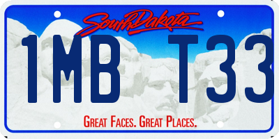 SD license plate 1MBT33
