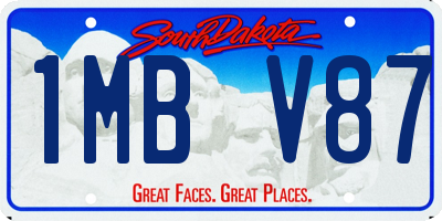 SD license plate 1MBV87