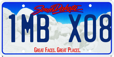 SD license plate 1MBX08