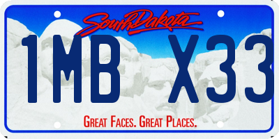 SD license plate 1MBX33