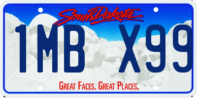 SD license plate 1MBX99
