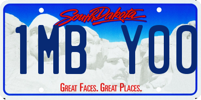 SD license plate 1MBY00