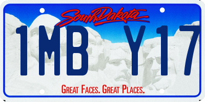 SD license plate 1MBY17