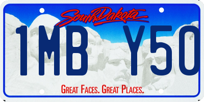 SD license plate 1MBY50