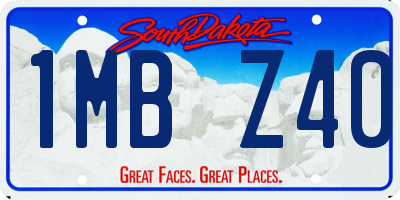 SD license plate 1MBZ40