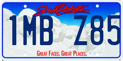SD license plate 1MBZ85