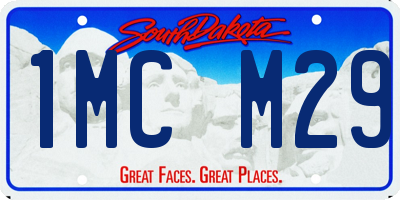 SD license plate 1MCM29