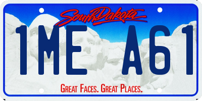 SD license plate 1MEA61