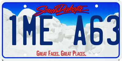 SD license plate 1MEA63