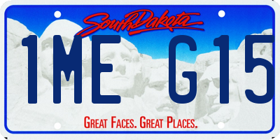 SD license plate 1MEG15