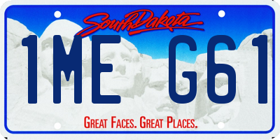 SD license plate 1MEG61