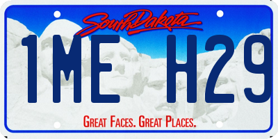SD license plate 1MEH29