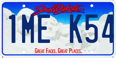 SD license plate 1MEK54