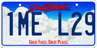 SD license plate 1MEL29