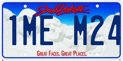 SD license plate 1MEM24