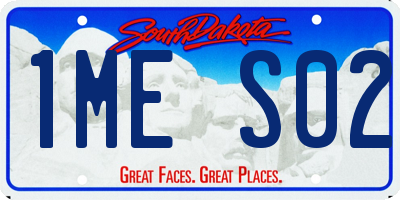 SD license plate 1MES02